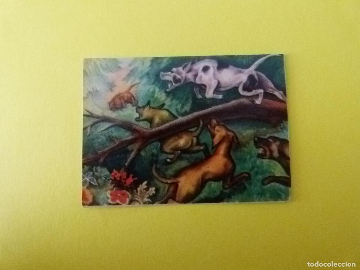 Coleccionismo Cromos antiguos: CROMO PAPEL BAMBI DESPEGADO N&ordm; 180 A&Ntilde;O 1961 ALBUM BAMBI FHER