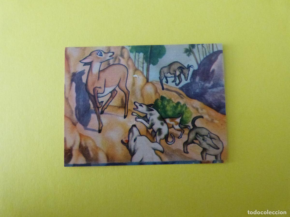 Coleccionismo Cromos antiguos: CROMO PAPEL BAMBI DESPEGADO N&ordm; 182 A&Ntilde;O 1961 ALBUM BAMBI FHER