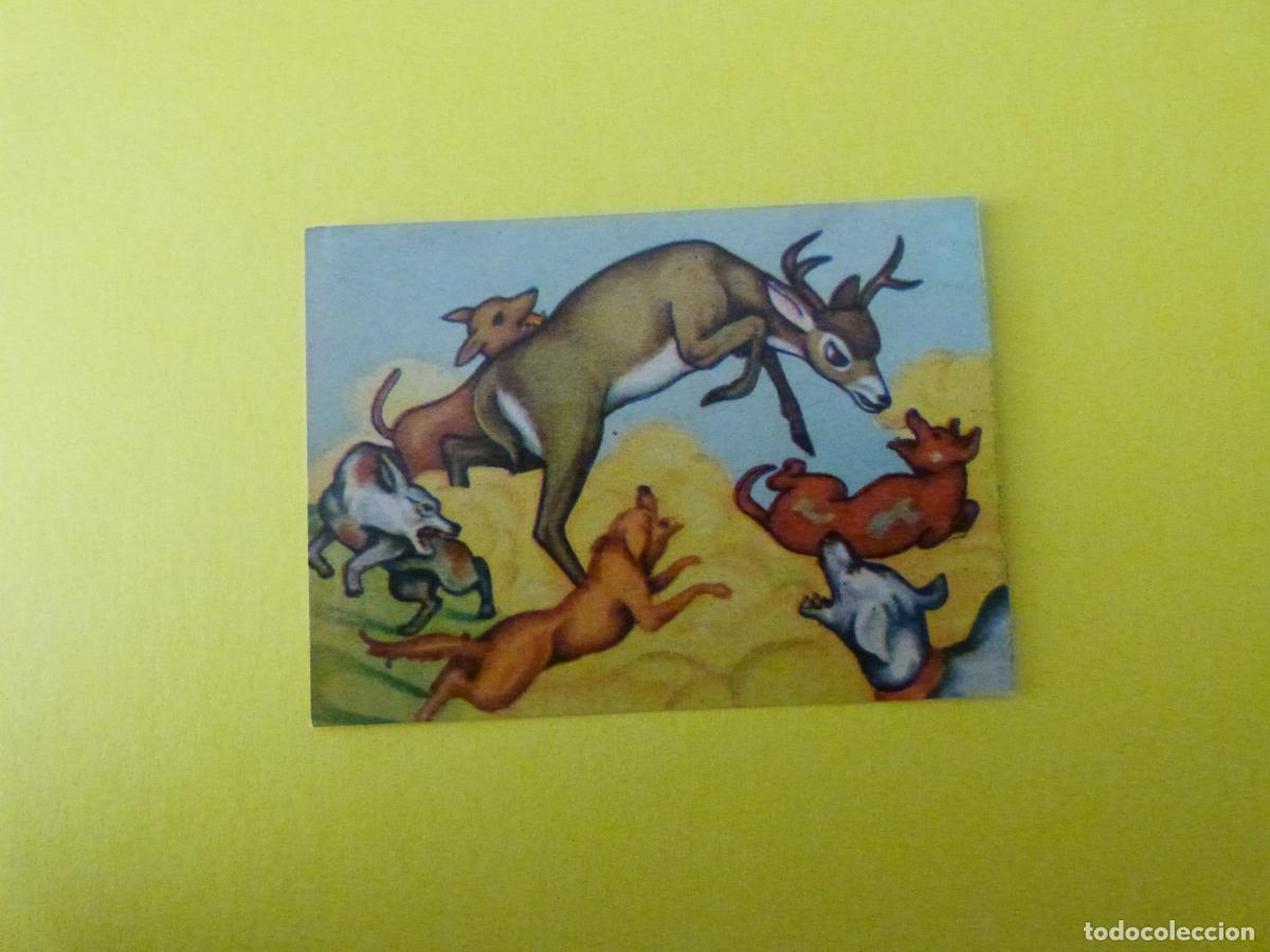 Coleccionismo Cromos antiguos: CROMO PAPEL BAMBI DESPEGADO N&ordm; 185 A&Ntilde;O 1961 ALBUM BAMBI FHER