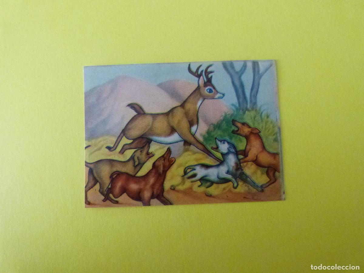 Coleccionismo Cromos antiguos: CROMO PAPEL BAMBI DESPEGADO N&ordm; 186 A&Ntilde;O 1961 ALBUM BAMBI FHER