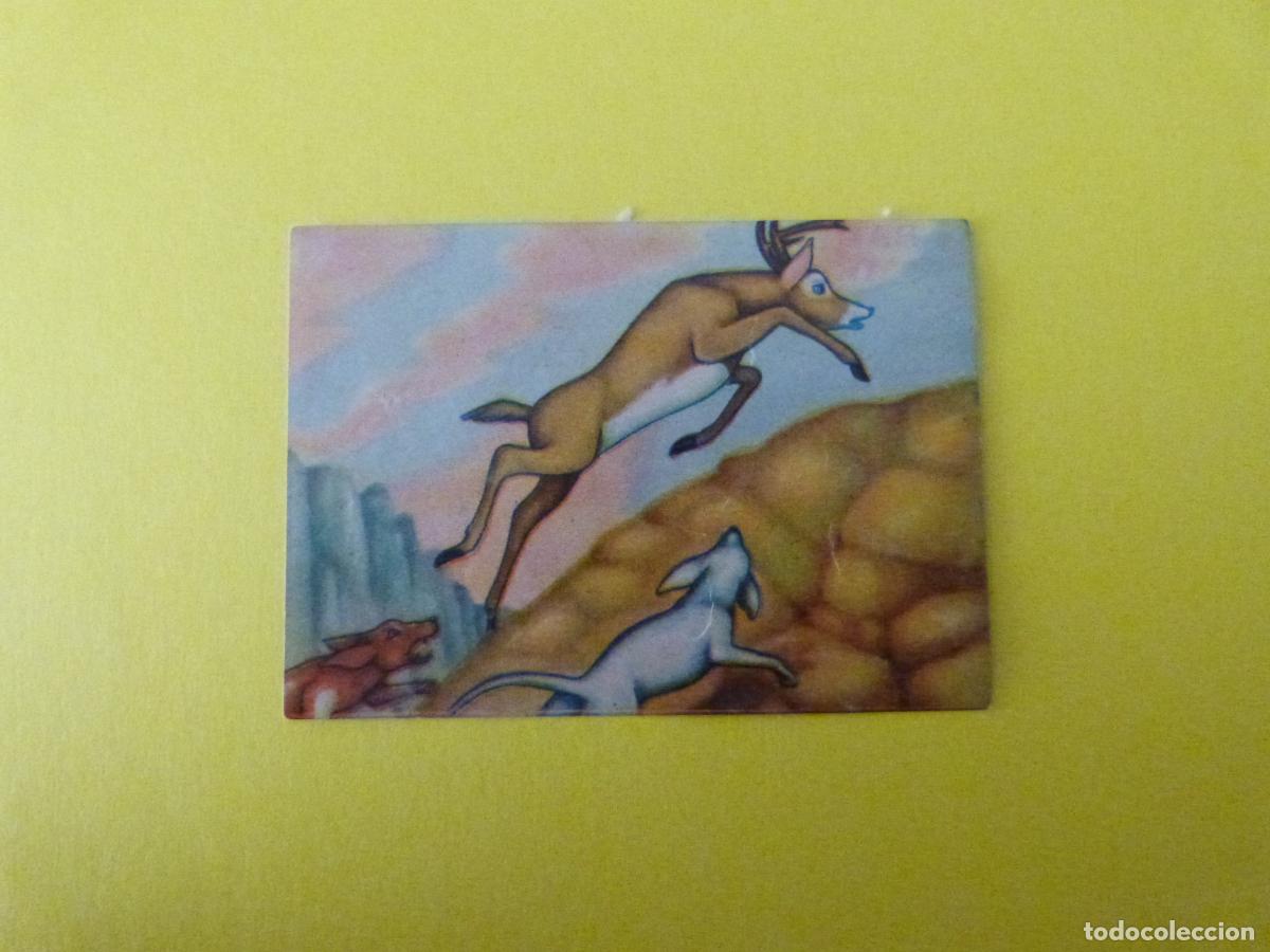 Coleccionismo Cromos antiguos: CROMO PAPEL BAMBI DESPEGADO N&ordm; 188 A&Ntilde;O 1961 ALBUM BAMBI FHER