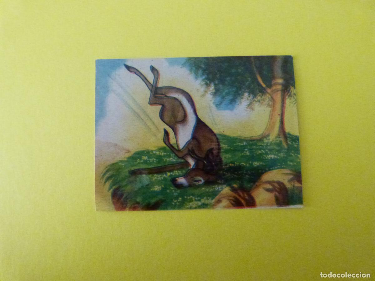 Coleccionismo Cromos antiguos: CROMO PAPEL BAMBI DESPEGADO N&ordm; 193 A&Ntilde;O 1961 ALBUM BAMBI FHER