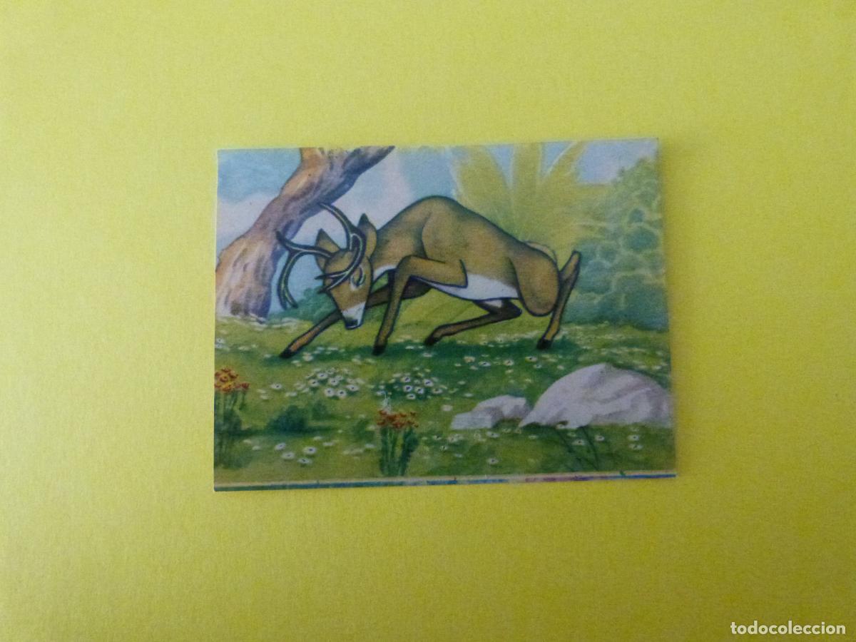 Coleccionismo Cromos antiguos: CROMO PAPEL BAMBI DESPEGADO N&ordm; 194 A&Ntilde;O 1961 ALBUM BAMBI FHER