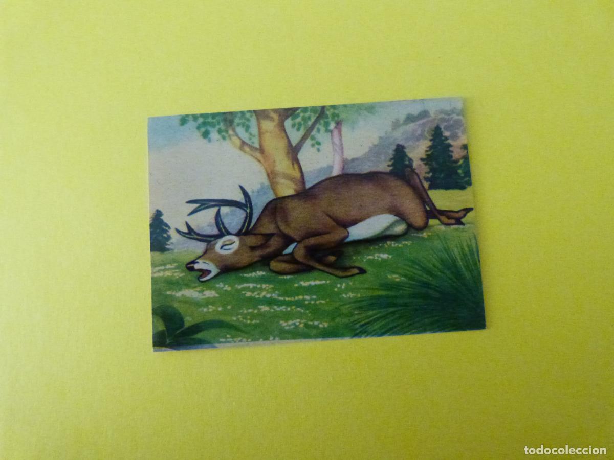 Coleccionismo Cromos antiguos: CROMO PAPEL BAMBI DESPEGADO N&ordm; 197 A&Ntilde;O 1961 ALBUM BAMBI FHER
