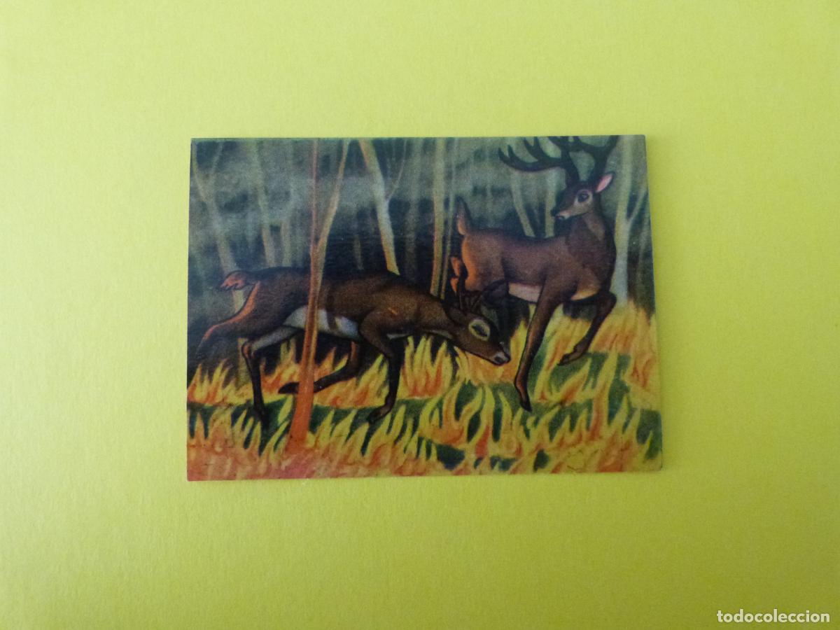 Coleccionismo Cromos antiguos: CROMO PAPEL BAMBI DESPEGADO N&ordm; 200 A&Ntilde;O 1961 ALBUM BAMBI FHER