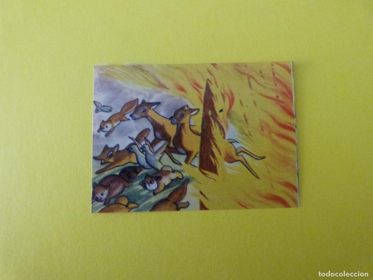 Coleccionismo Cromos antiguos: CROMO PAPEL BAMBI DESPEGADO N&ordm; 201 A&Ntilde;O 1961 ALBUM BAMBI FHER