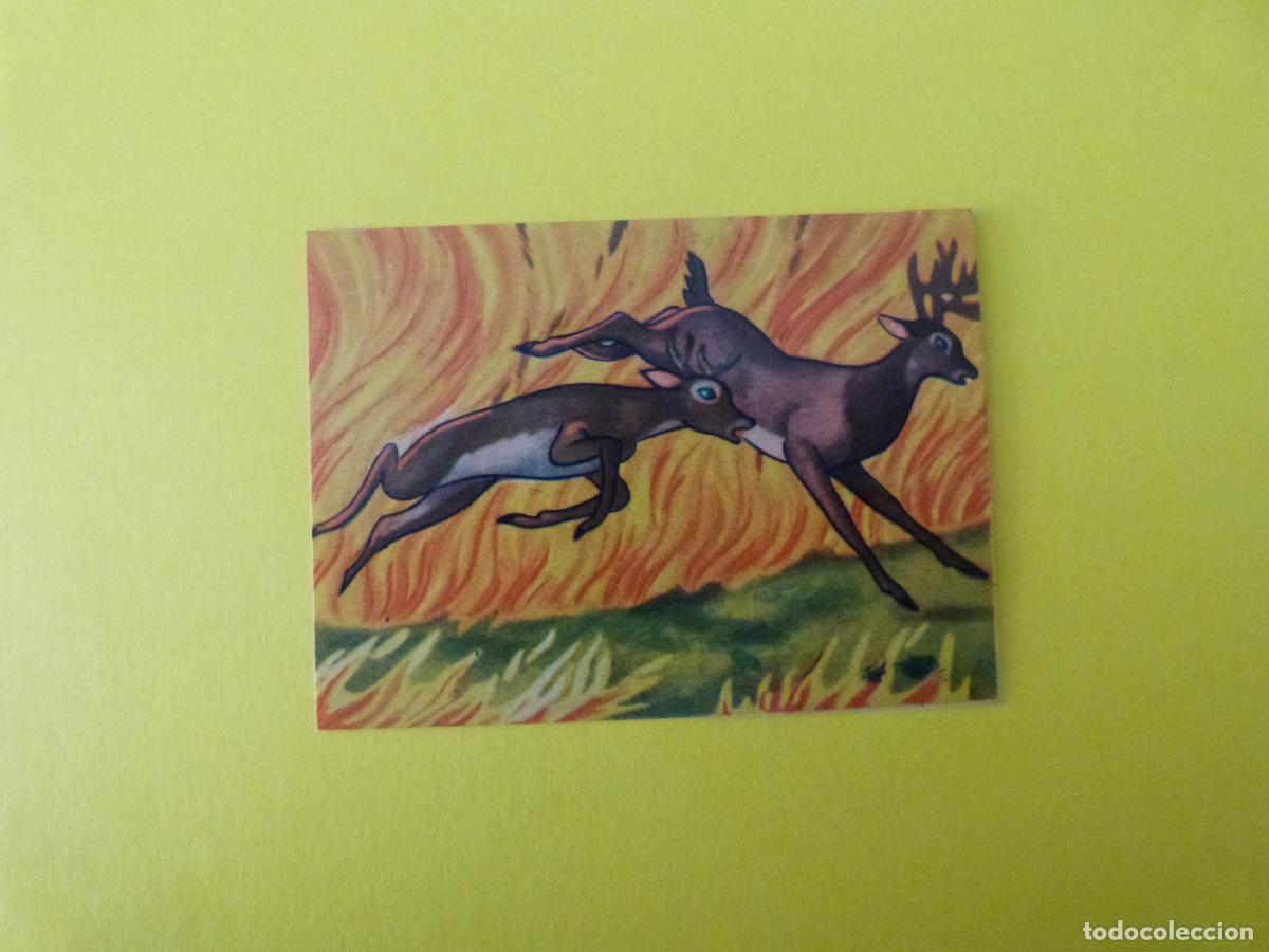 Coleccionismo Cromos antiguos: CROMO PAPEL BAMBI DESPEGADO N&ordm; 204 A&Ntilde;O 1961 ALBUM BAMBI FHER