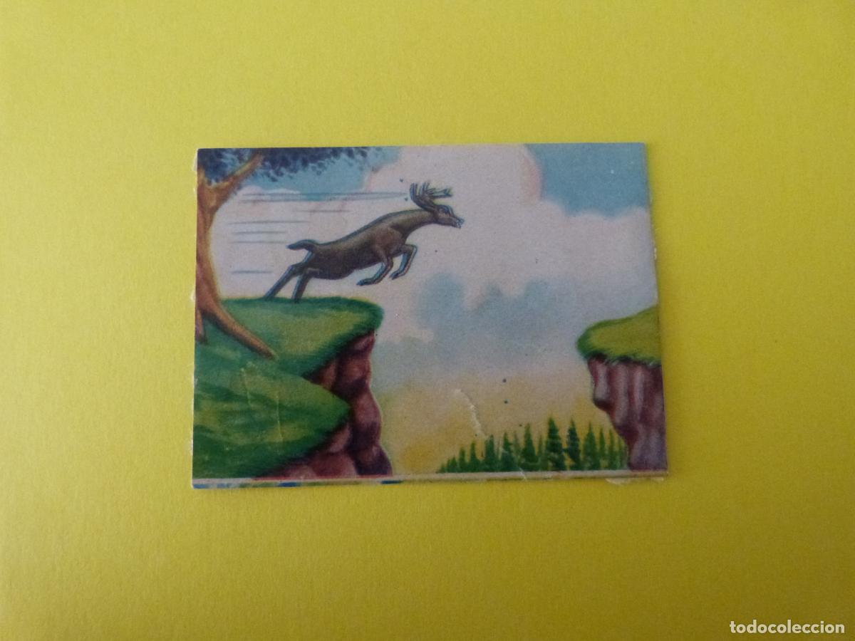 Coleccionismo Cromos antiguos: CROMO PAPEL BAMBI DESPEGADO N&ordm; 191 A&Ntilde;O 1961 ALBUM BAMBI FHER
