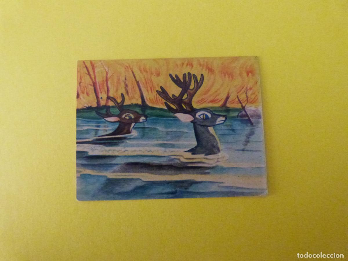 Coleccionismo Cromos antiguos: CROMO PAPEL BAMBI DESPEGADO N&ordm; 207 A&Ntilde;O 1961 ALBUM BAMBI FHER