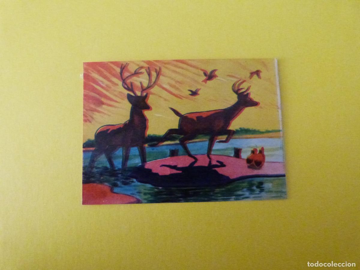Coleccionismo Cromos antiguos: CROMO PAPEL BAMBI DESPEGADO N&ordm; 209 A&Ntilde;O 1961 ALBUM BAMBI FHER