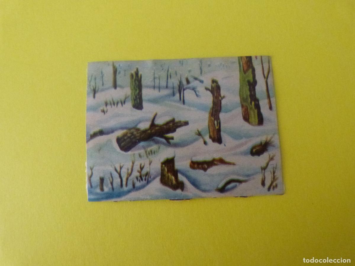 Coleccionismo Cromos antiguos: CROMO PAPEL BAMBI DESPEGADO N&ordm; 213 A&Ntilde;O 1961 ALBUM BAMBI FHER