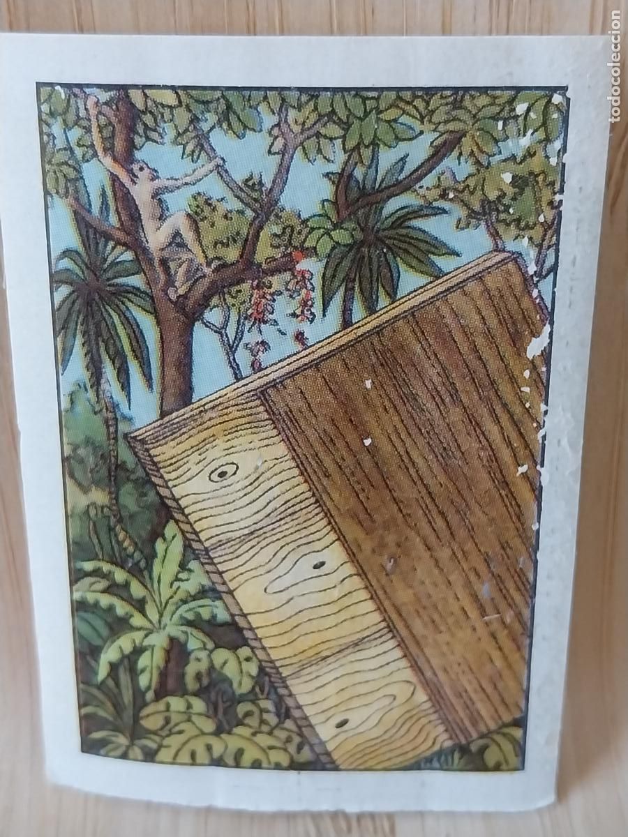 Coleccionismo Cromos antiguos: LO QUE NOS DICE EL ARBOL A&Ntilde;O 1959 CROMO CHOCOLATE NESTLE 5.7X4CMS **