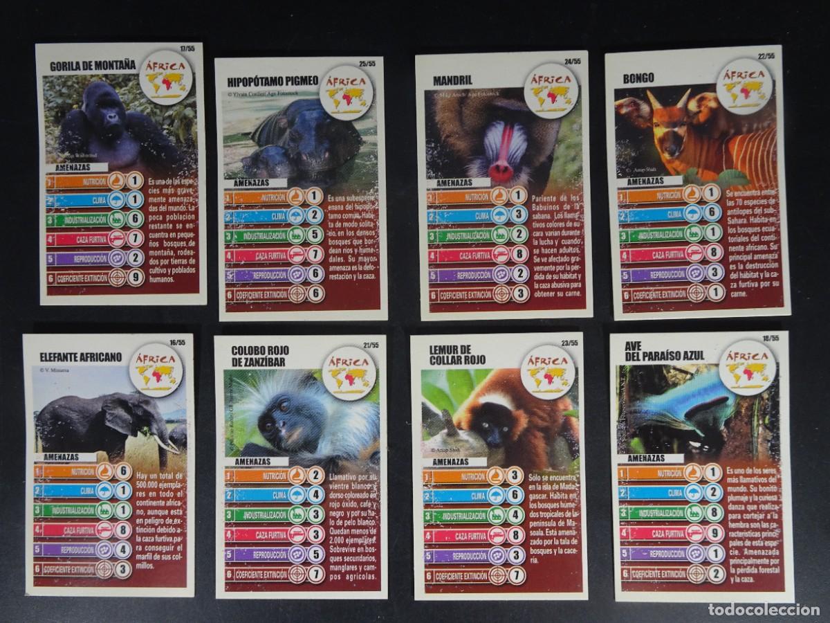 Coleccionismo Cromos antiguos: 8 CROMOS BOLLYCAO ACCI&Oacute;N RESCATE, &Aacute;FRICA, VARIADOS , VER FOTOS