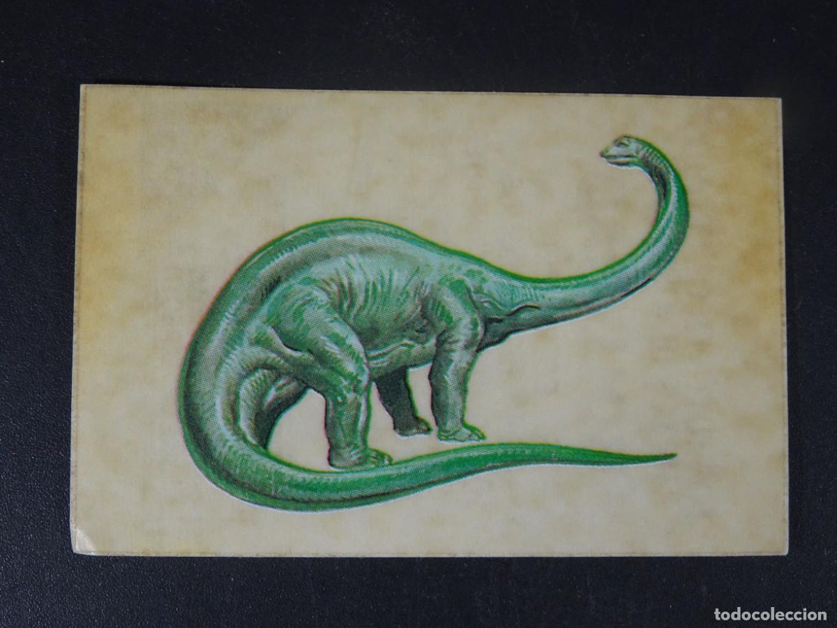 Coleccionismo Cromos antiguos: CROMO BOLLYCAO, LOS AUTENTICOS CROMOS DE DINOSAURIOS , N&ordm; 21, SIN PEGAR, VER FOTOS