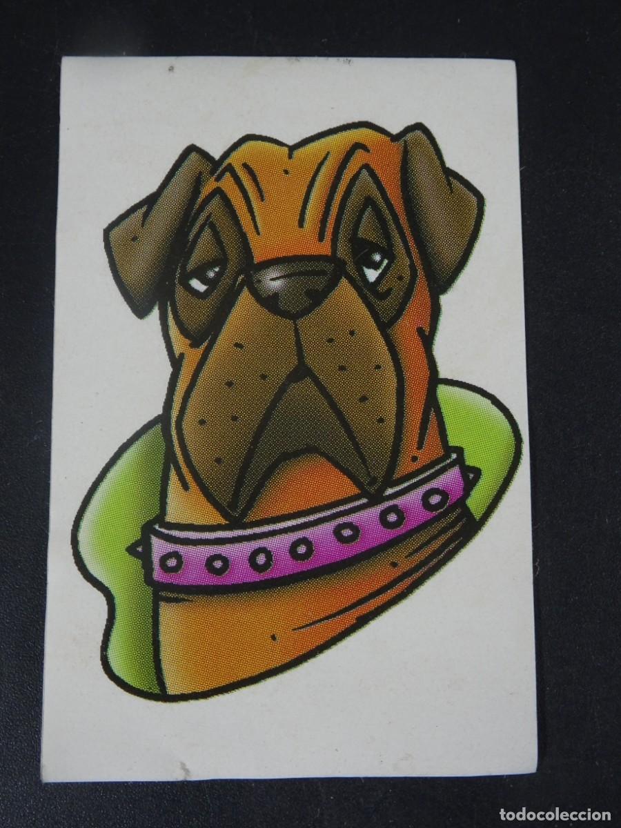 Coleccionismo Cromos antiguos: CROMO BOLLYCAO AMIGOS Y COLEGAS, N&ordm; 27, MASTIFF, SIN PEGAR, VER FOTOS