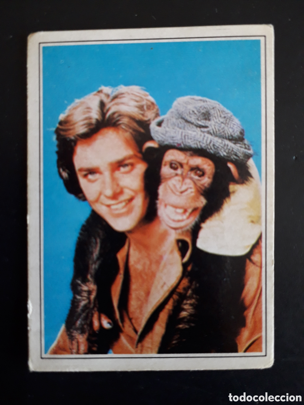 Coleccionismo Cromos antiguos: BJ Y SU MONO, TELE POP, ED ESTE 1980 N&deg; 25 SIN PEGAR, ESCRITO EN TRASERA. PEDIDO M&Iacute;NIMO 3&euro;