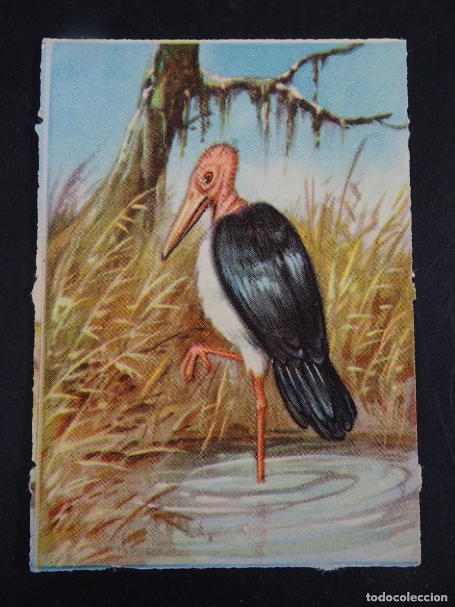 Coleccionismo Cromos antiguos: ANTIGUO CROMO, MARAB&Uacute;, VER FOTOS