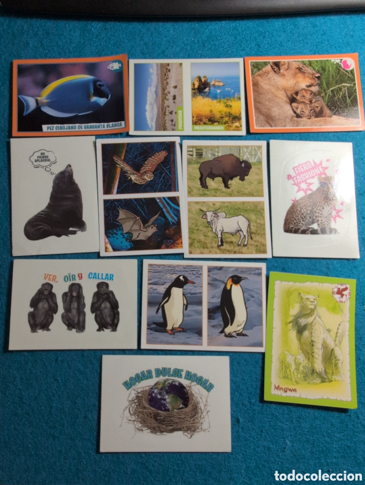 Coleccionismo Cromos antiguos: 11 Cromos &aacute;lbum animales 2014 Panini