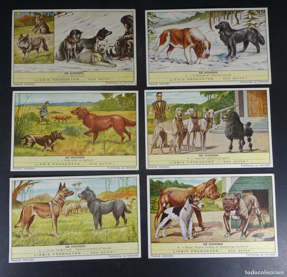 Coleccionismo Cromos antiguos: 6 ANTIGUOS CROMOS LIEBIG ,SERIE DEL 1- 6 , DE HONDEN, PERROS, VER FOTOS