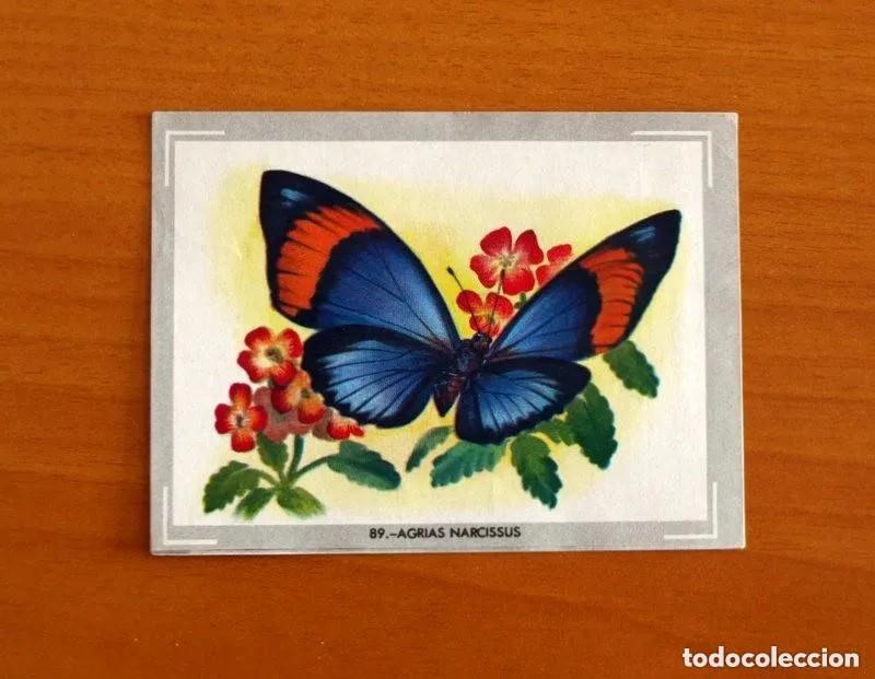Coleccionismo Cromos antiguos: Cromo n.89 Vida y color 1965 - sin pegar