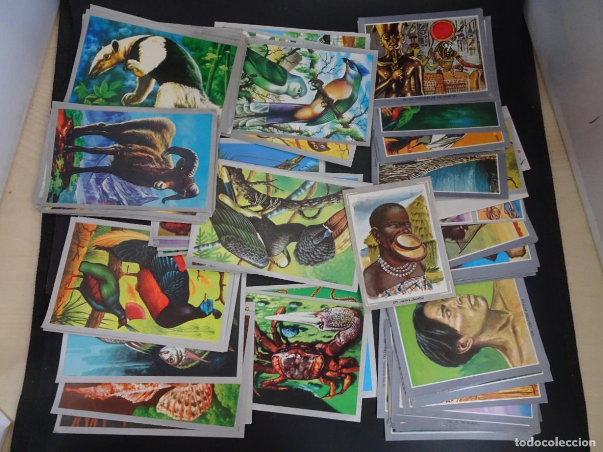 Coleccionismo Cromos antiguos: LOTE DE 120 ANTIGUOS CROMOS ,ANIMALES Y MINERALES, VER FOTOS