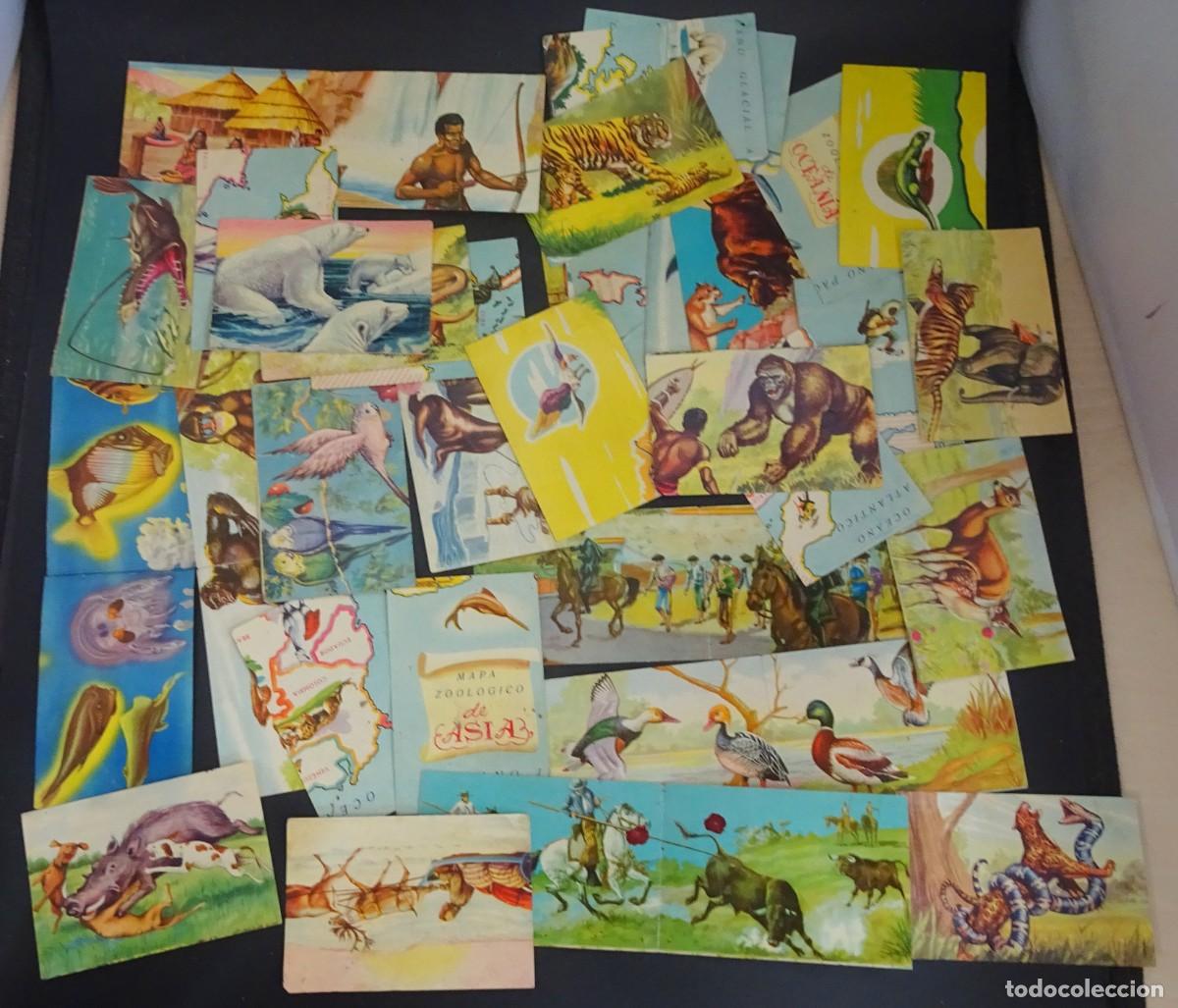 Coleccionismo Cromos antiguos: 35 ANTIGUOS CROMOS EL MUNDO DE LOS ANIMALES , FHER, VER FOTOS