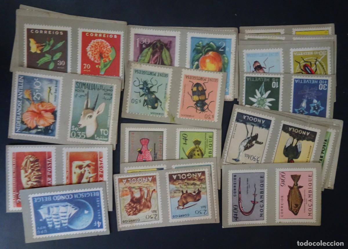 Coleccionismo Cromos antiguos: LOTE 25 ANTIGUOS CROMOS LA NATURALEZA Y EL SELLO, VER FOTOS