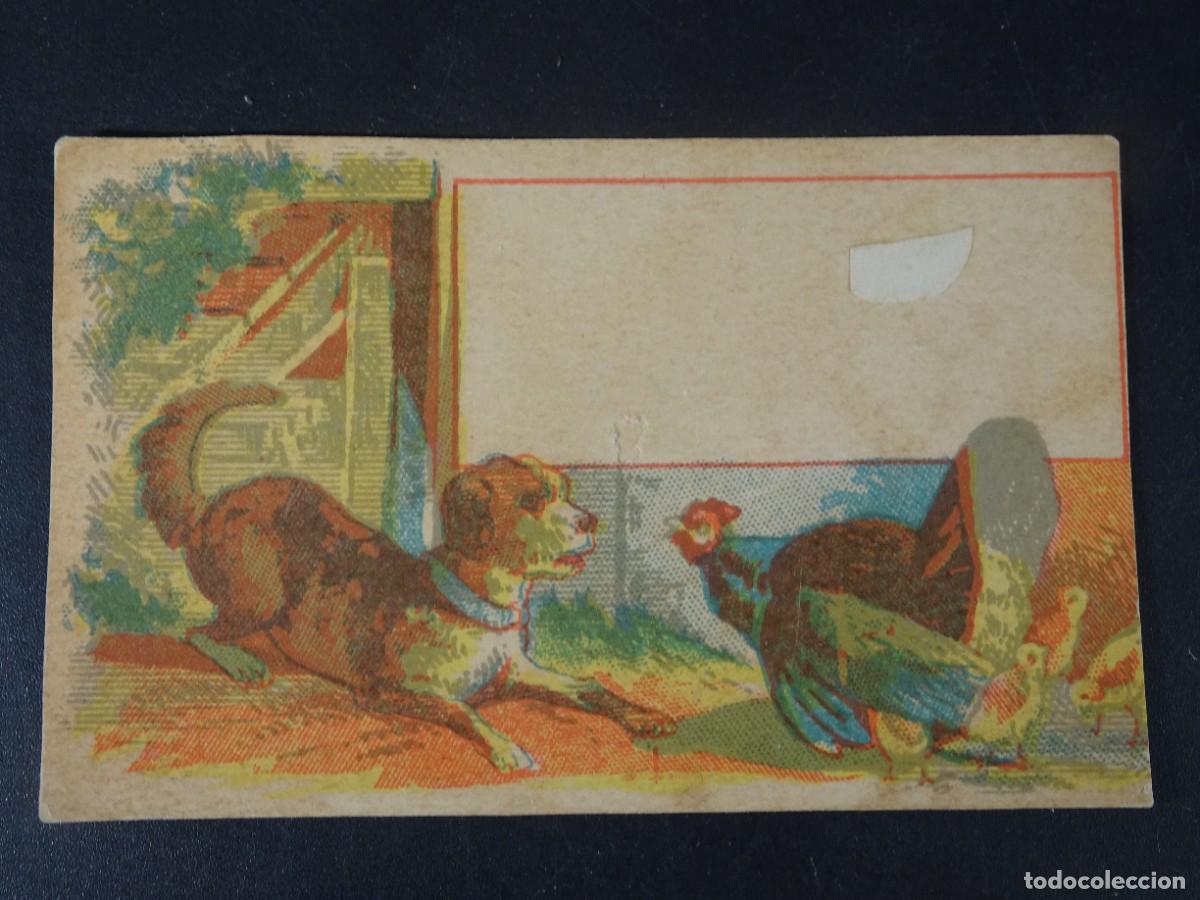 Coleccionismo Cromos antiguos: ANTIGUO CROMO ILUSTRADO, PERRO, VER FOTOS