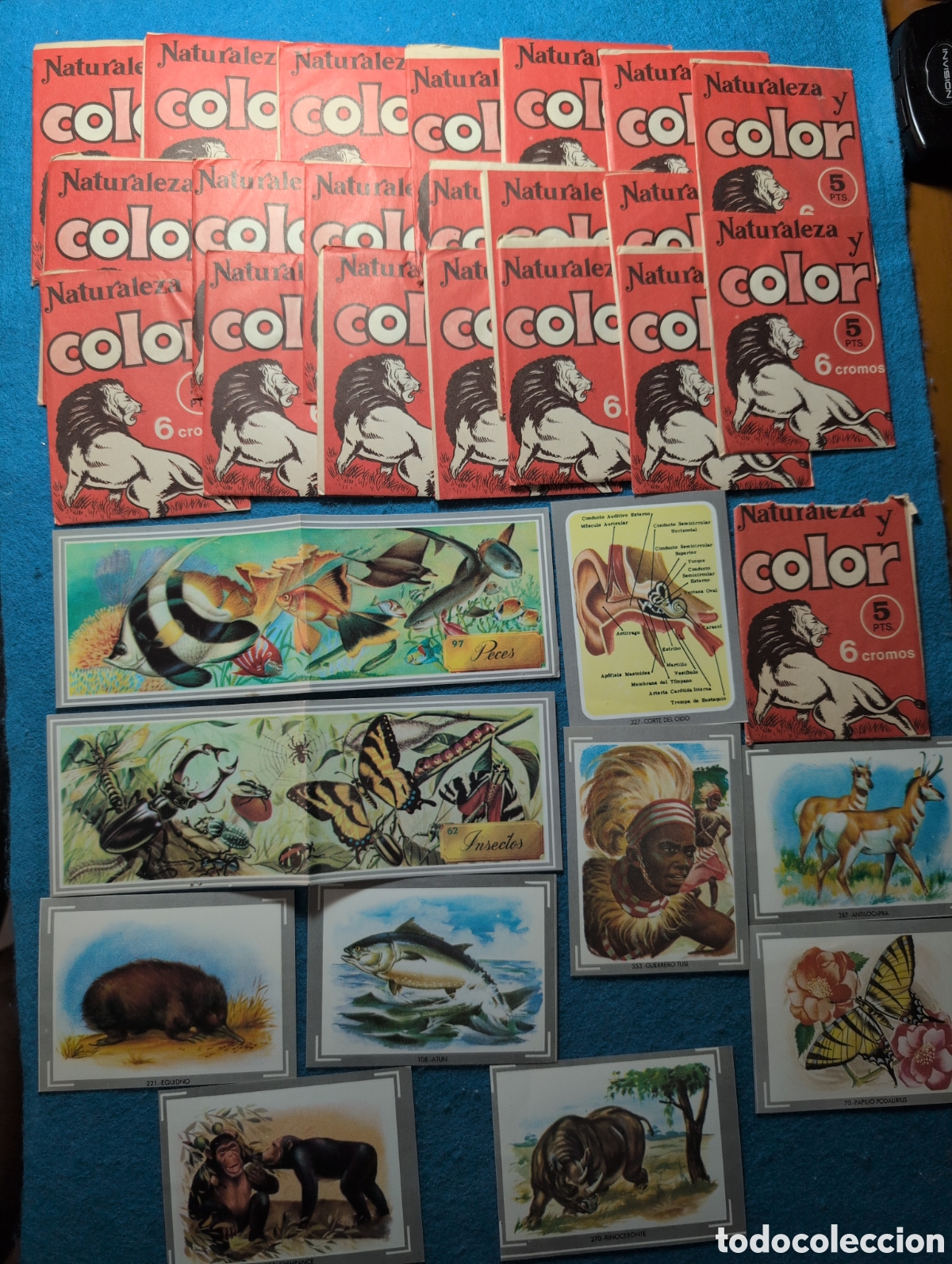 Coleccionismo Cromos antiguos: Naturaleza y color sobres sin abrir y cromos sueltos