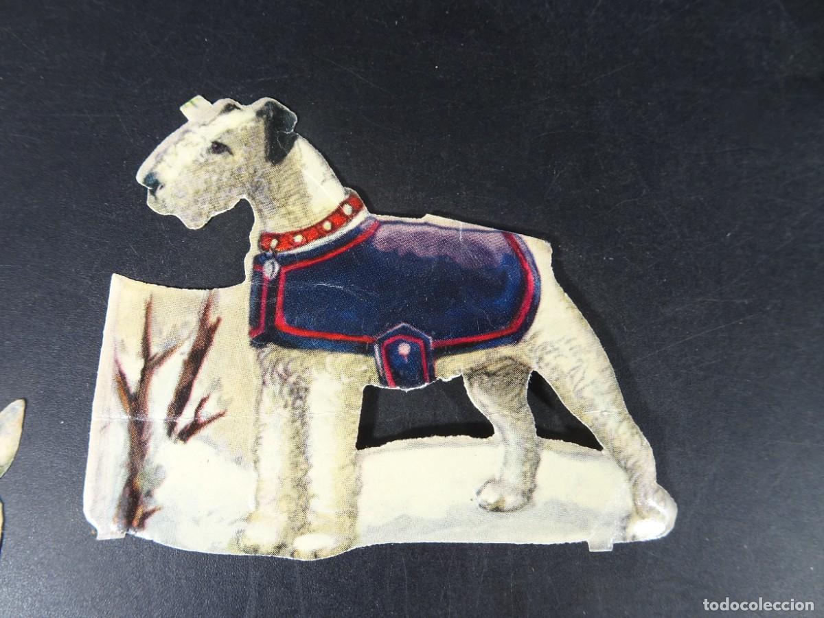 Collectable Antique Stickers: ANTIGUO CROMO TROQUELADO, PERRO, VER FOTOS