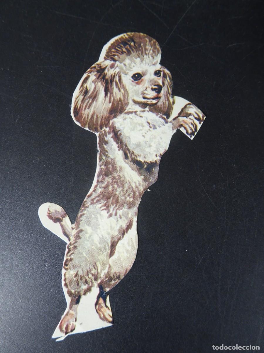 Collectable Antique Stickers: ANTIGUO CROMO TROQUELADO, PERRO, VER FOTOS