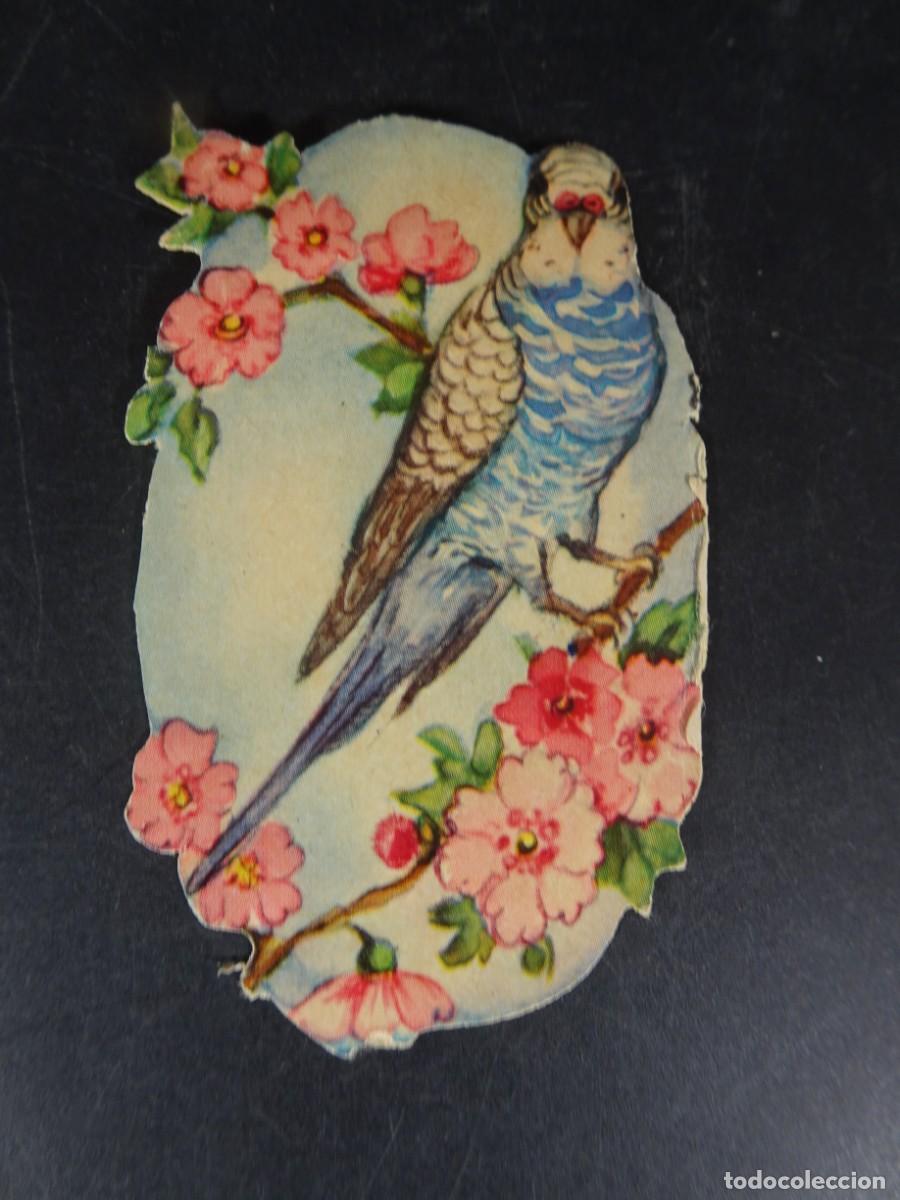 Sammeln alte Sammelbilder: ANTIGUO CROMO TROQUELADO, PERIQUITO, VER FOTOS