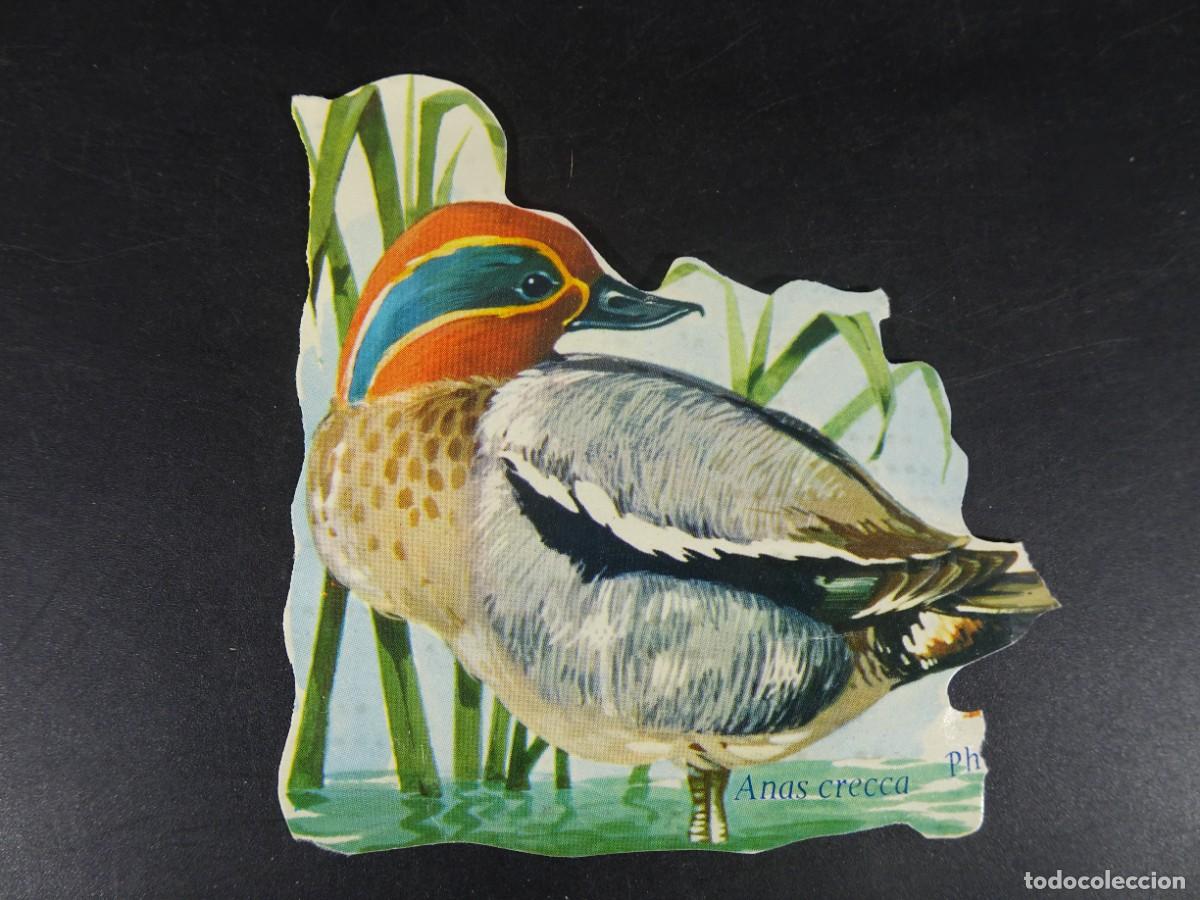 Colecionismo Cromos antigos: ANTIGUO CROMO TROQUELADO, PATO, VER FOTOS