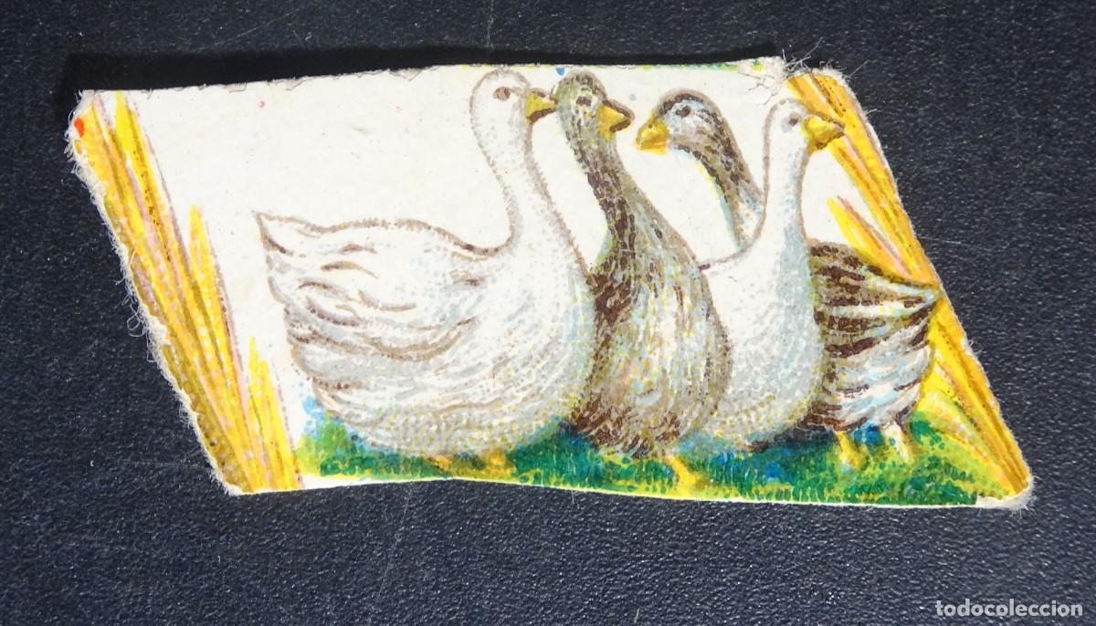 Collezionismo Figurine antiche: ANTIGUO CROMO OCAS VER FOTOS