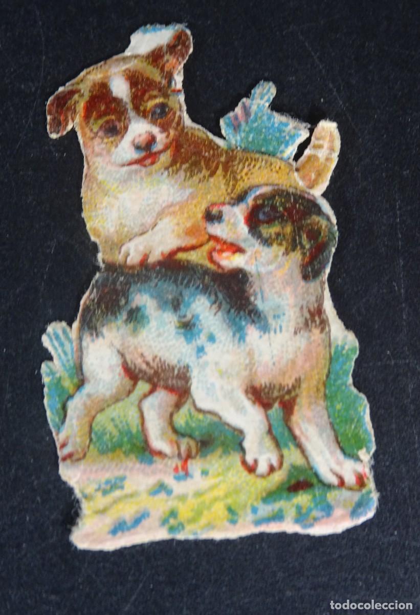 Coleccionismo Cromos antiguos: ANTIGUO CROMO TROQUELADO PERROS VER FOTOS