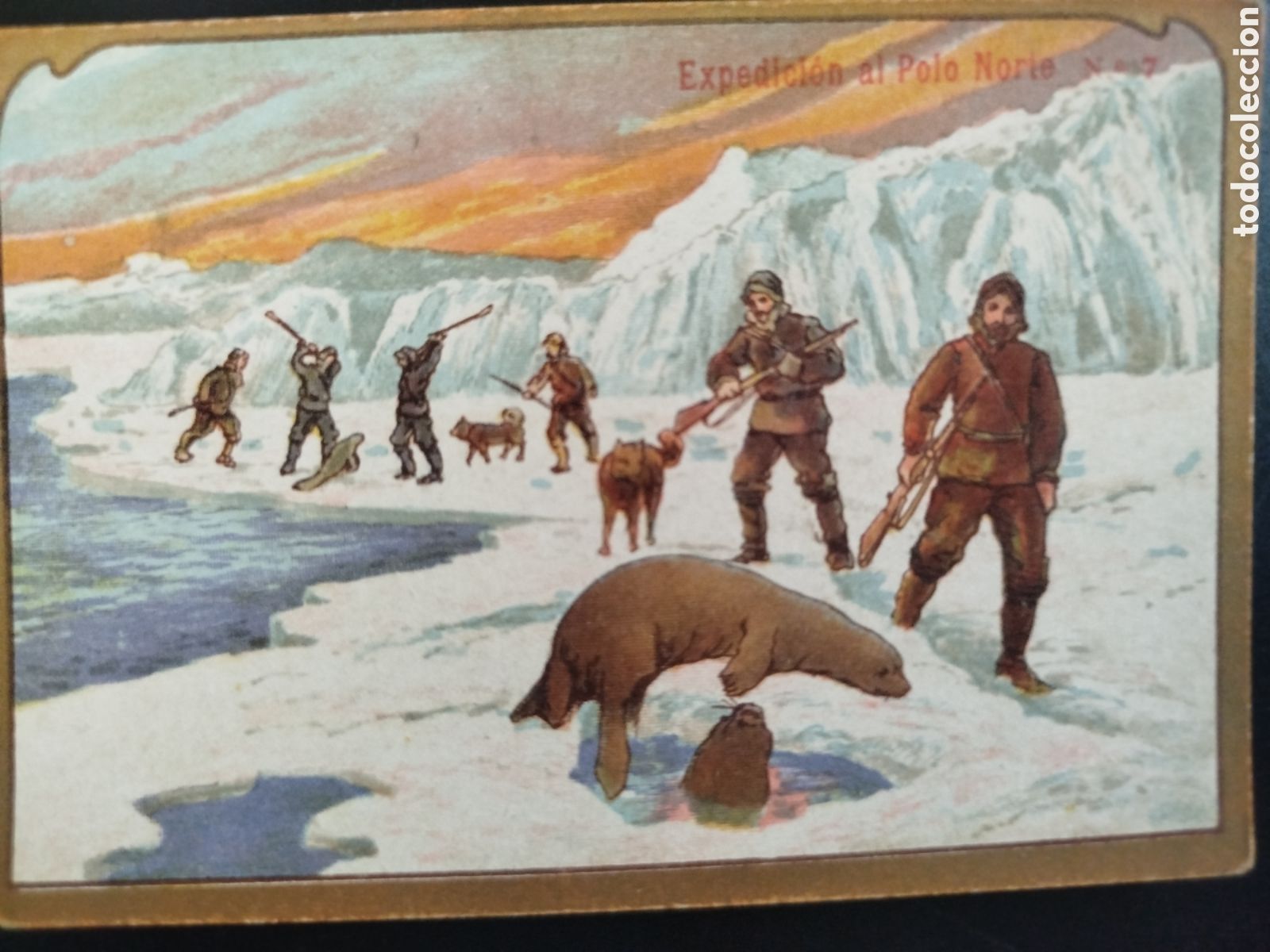 Coleccionismo Cromos antiguos: Cromo Expedici&oacute;n al Polo Norte, n&uacute;m. 7, Chocolate Angelical