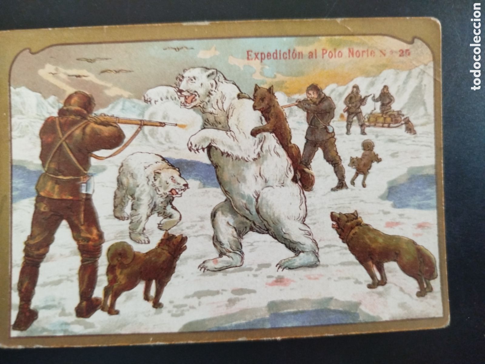 Coleccionismo Cromos antiguos: Cromo Expedici&oacute;n al Polo Norte, n&uacute;m. 26, Chocolate Angelical