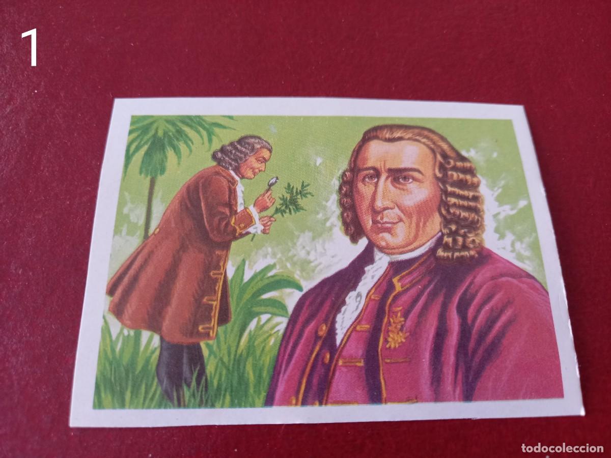 Coleccionismo Cromos antiguos: Cromo n.1 Panorama Zoologico 1973 - Ruiz Romero - sin pegar