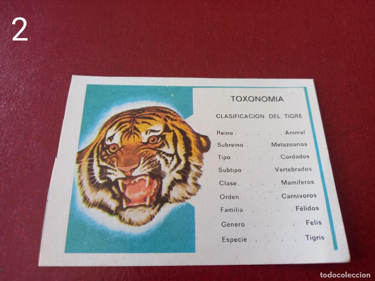 Coleccionismo Cromos antiguos: Cromo n.2 Panorama Zoologico 1973 - Ruiz Romero - sin pegar