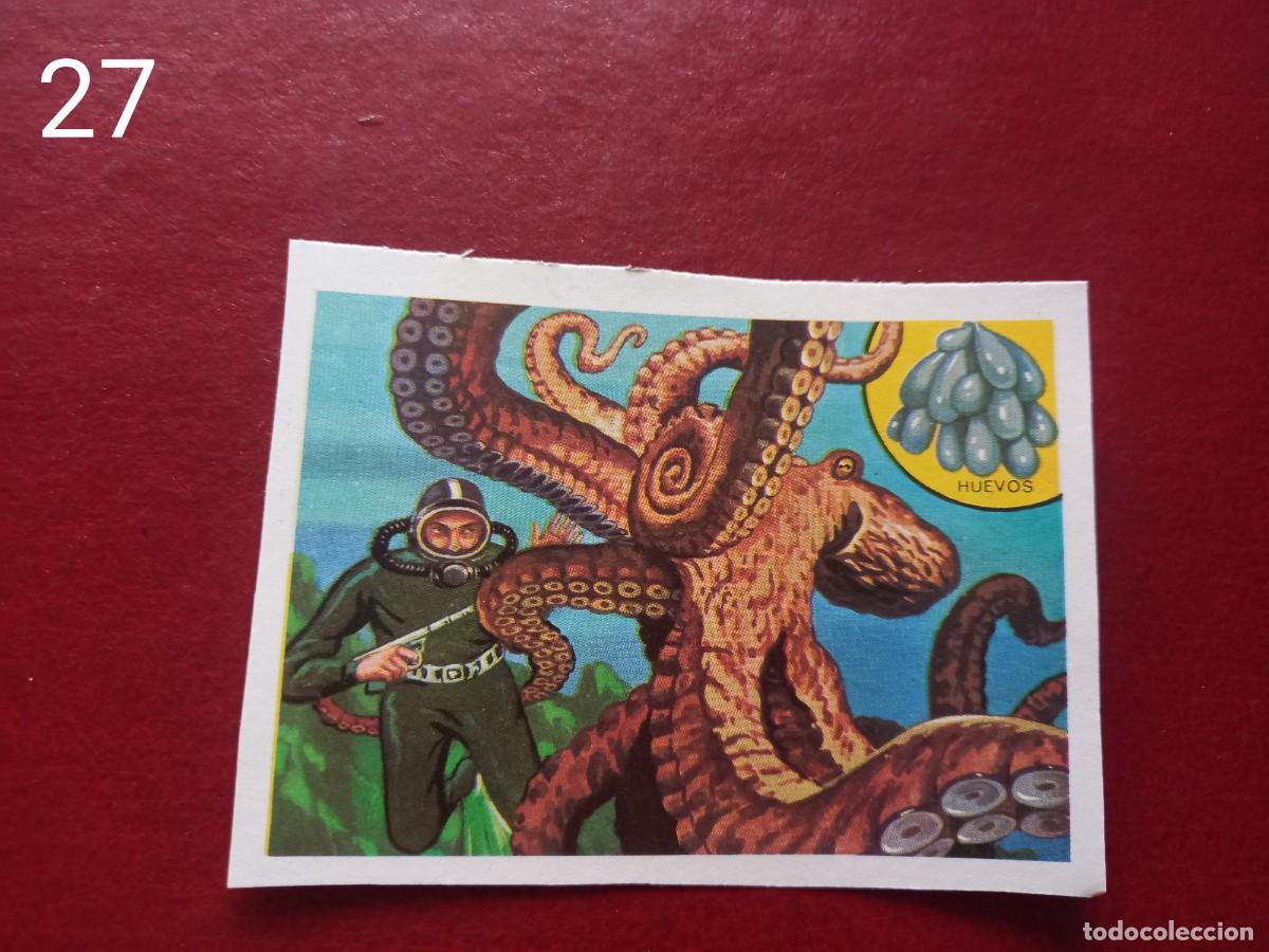Coleccionismo Cromos antiguos: Cromo n.27 Panorama Zoologico 1973 - Ruiz Romero - sin pegar