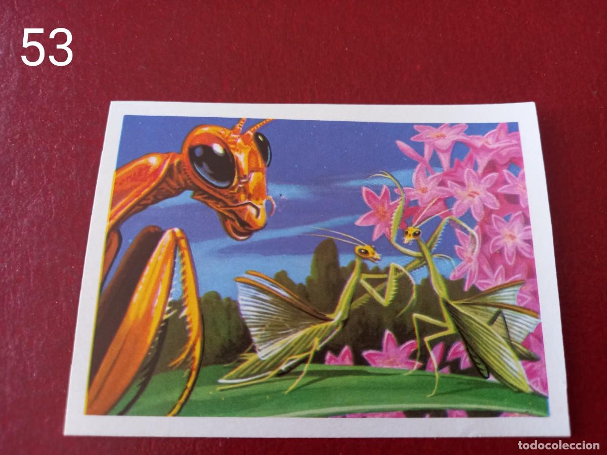 Coleccionismo Cromos antiguos: Cromo n.53 Panorama Zoologico 1973 - Ruiz Romero - sin pegar
