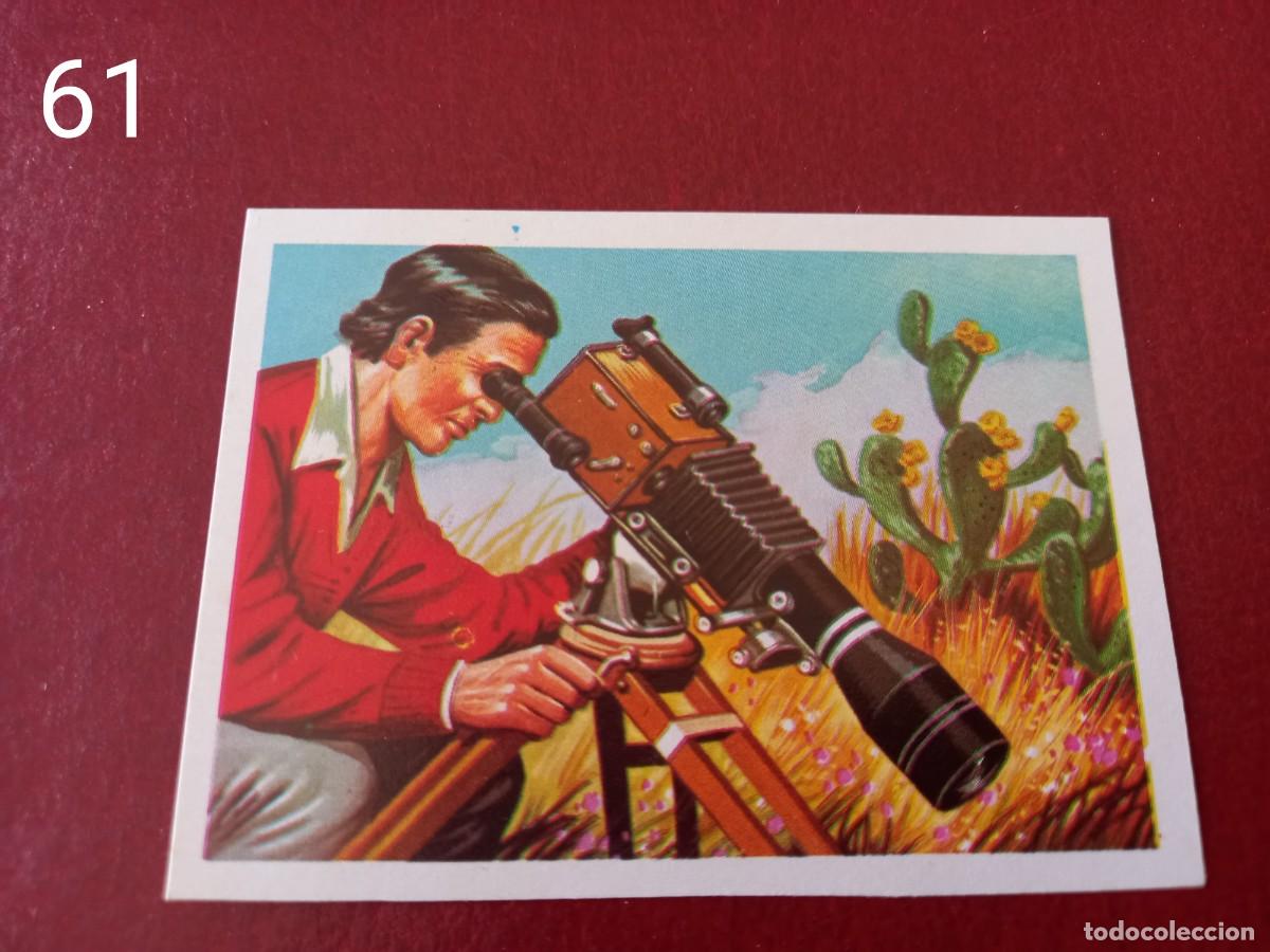 Collectionnisme Cartes &agrave; collectionner anciennes: Cromo n.61 Panorama Zoologico 1973 - Ruiz Romero - sin pegar