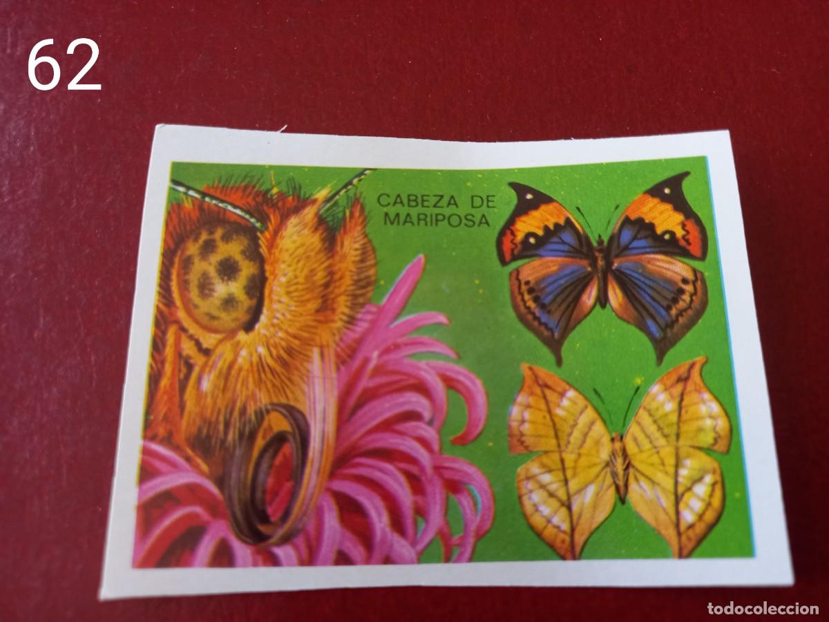 Coleccionismo Cromos antiguos: Cromo n.62 Panorama Zoologico 1973 - Ruiz Romero - sin pegar