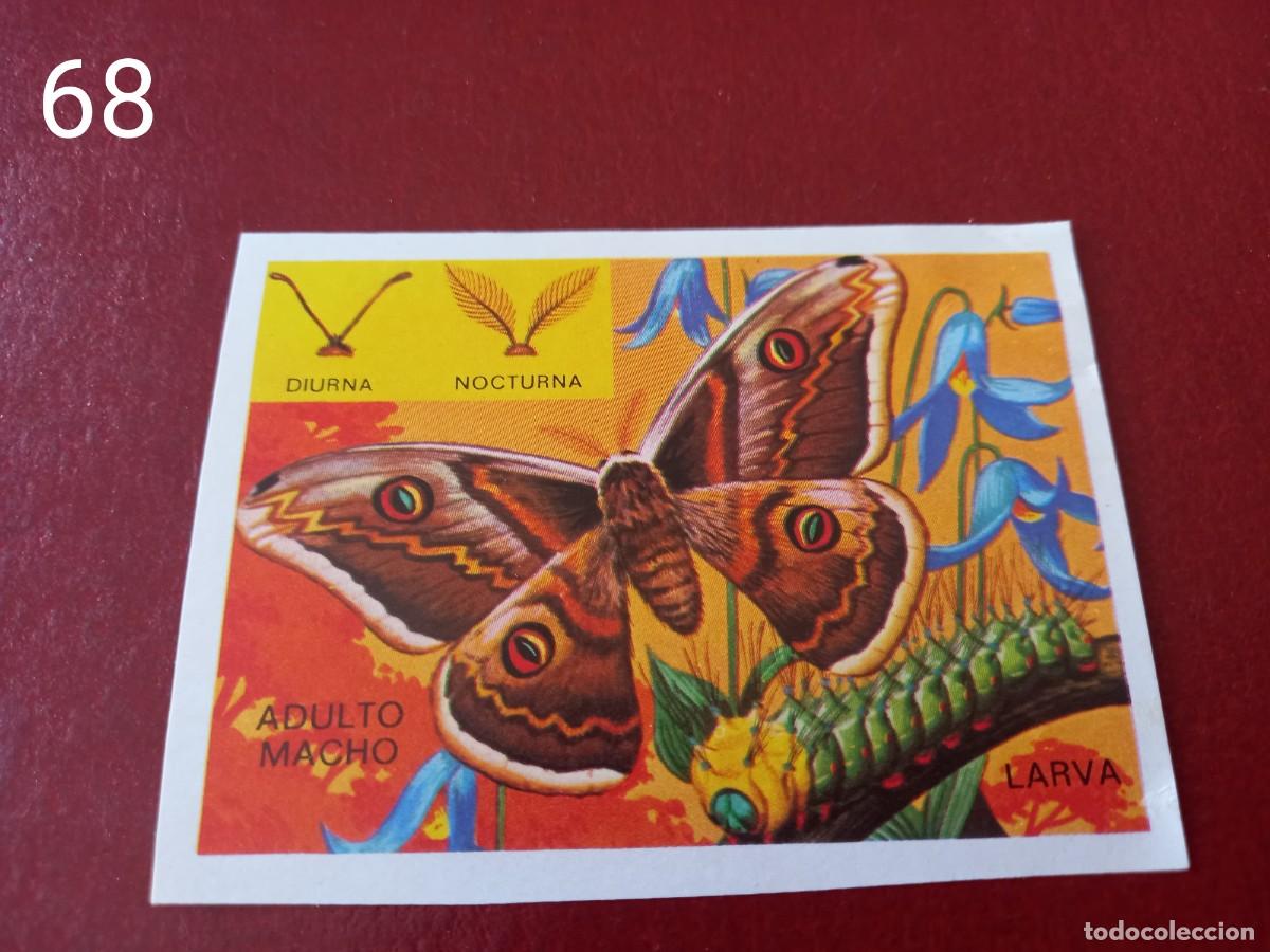 Coleccionismo Cromos antiguos: Cromo n.68 Panorama Zoologico 1973 - Ruiz Romero - sin pegar