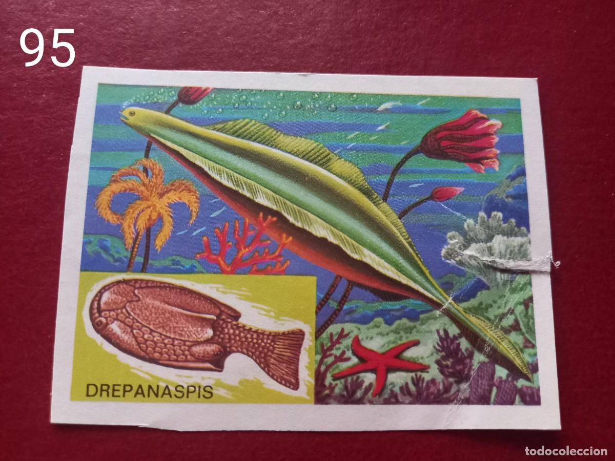 Coleccionismo Cromos antiguos: Cromo n.95 Panorama Zoologico 1973 - Ruiz Romero - sin pegar