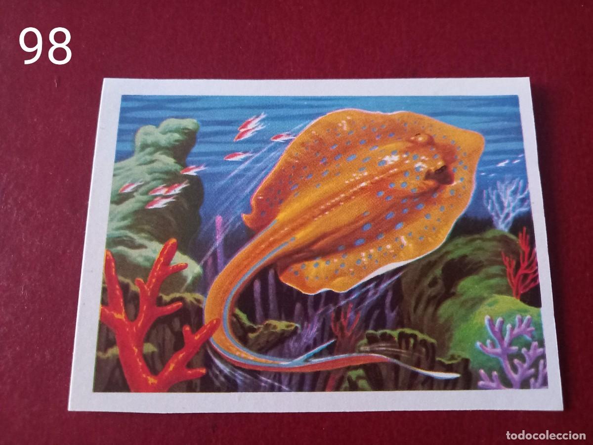 Collectable Antique Stickers: Cromo n.98 Panorama Zoologico 1973 - Ruiz Romero - sin pegar