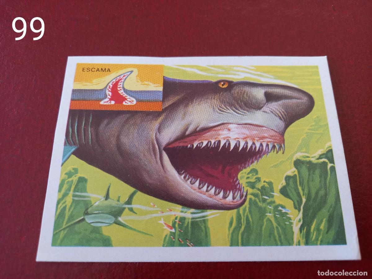 Collectable Antique Stickers: Cromo n.99 Panorama Zoologico 1973 - Ruiz Romero - sin pegar