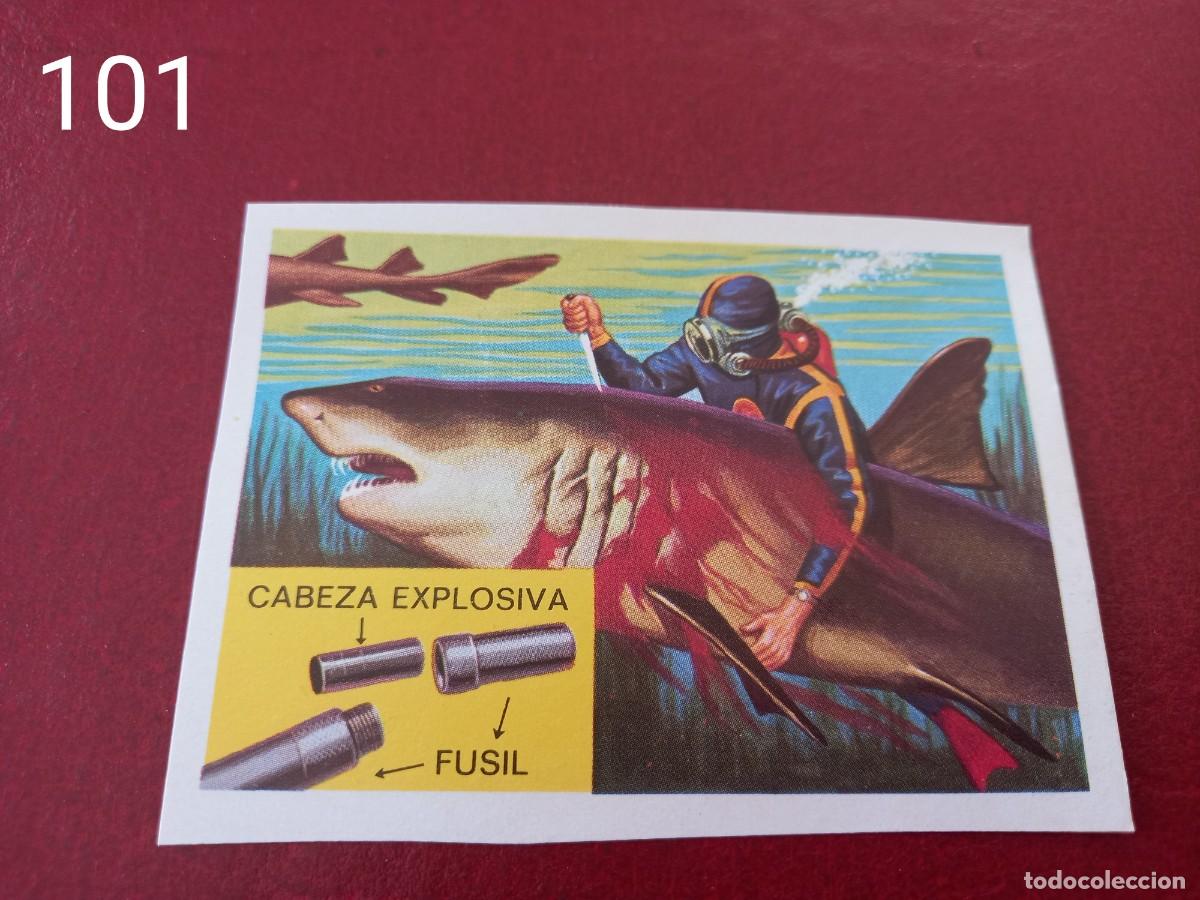 Coleccionismo Cromos antiguos: Cromo n.101 Panorama Zoologico 1973 - Ruiz Romero - sin pegar