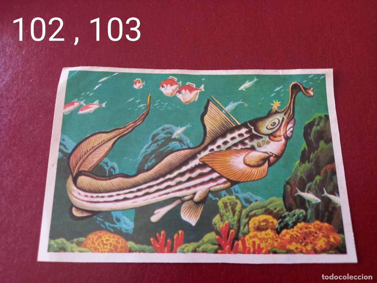 Coleccionismo Cromos antiguos: Cromo doble n.102 y 103 Panorama Zoologico 1973 - Ruiz Romero - sin pegar