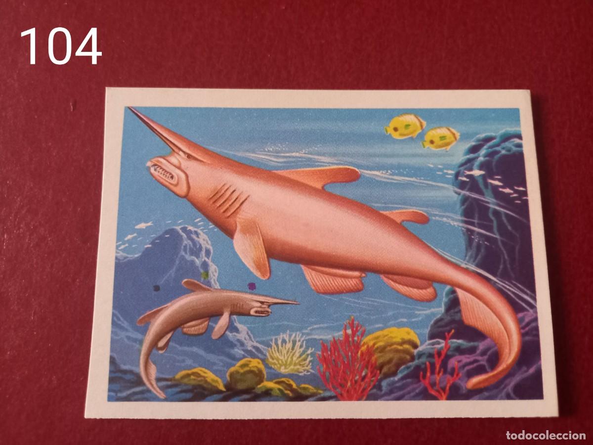 Coleccionismo Cromos antiguos: Cromo n.104 Panorama Zoologico 1973 - Ruiz Romero - sin pegar